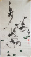 花鸟-虾-武文博